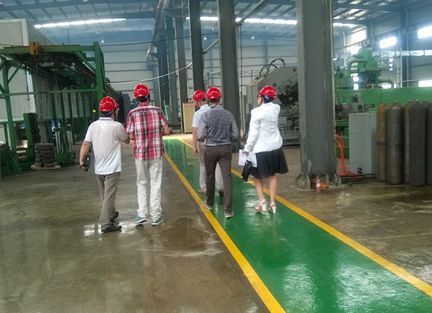 Anhui Clean Energy Co., Ltd. Factory Show
